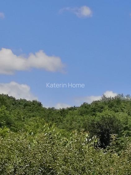 Vanzare Casa cu acces direct la padure in Valea Cucului, Comuna Iordacheanu - 13