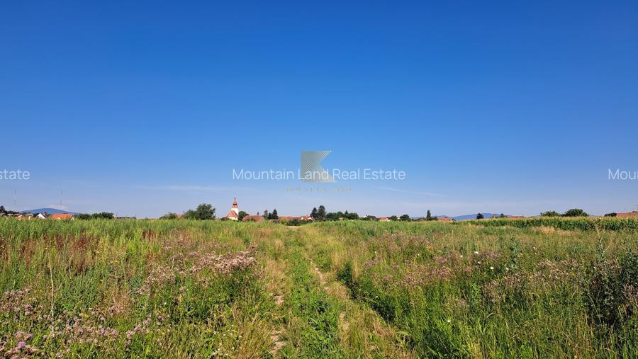 Posibilitate RATE | Teren Bod | curti constructii | utilitati | PUZ, - 13