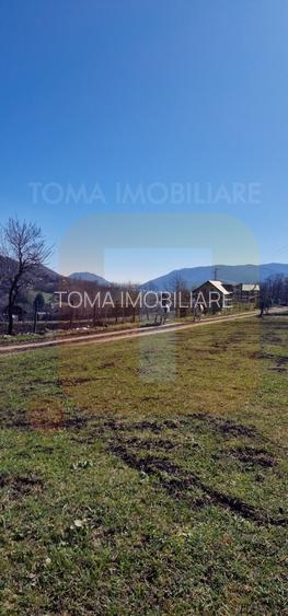 Teren intravilan de 4.000 mp în Bistrița – Alexandru cel Bun - 26