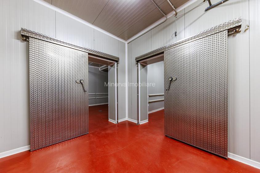 Hala depozitare, Dumbravița Timis, 1285 mp, Farma GDP Medical Cosmetice 6000 Eur - 15