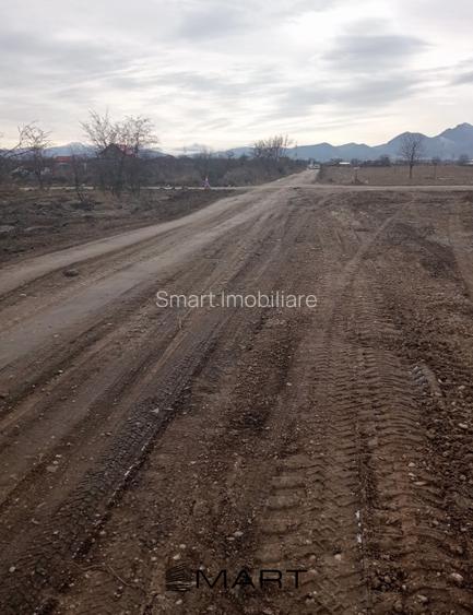 Teren Intravilan 533 mp Sanpetru - 6