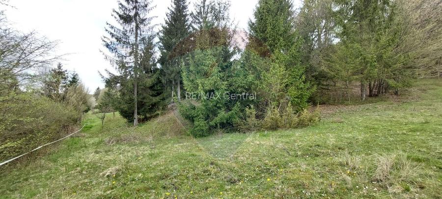Poienita 2800mp, Covasna, zona hotel Clermont, inconjurat de padure - 16