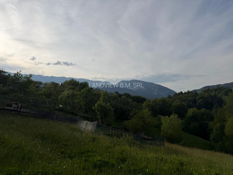 TEREN INTRAVILAN 2.000 MP ÎN PEȘTERA – MOIECIOU | IZVOR PROPRIU | UTILITĂȚI | D - 19