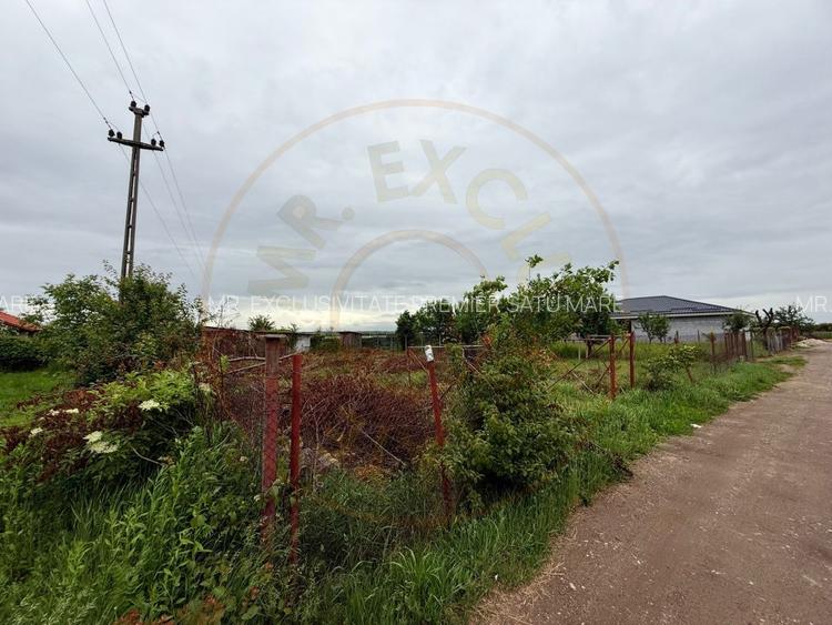 Teren Intravilan Padurea Noroieni - 7