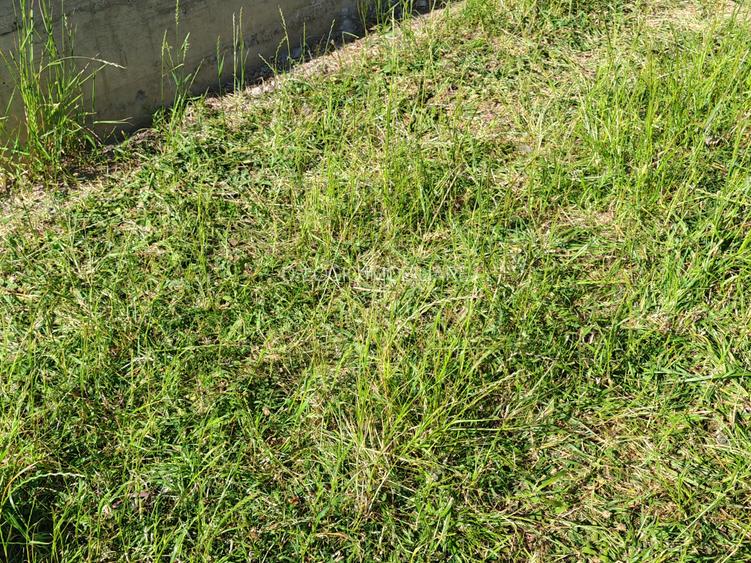 Casa 5 camere constructie noua RASNOV - 19