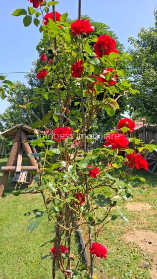 Pensiune, oportunitate excelenta de investitie - 2