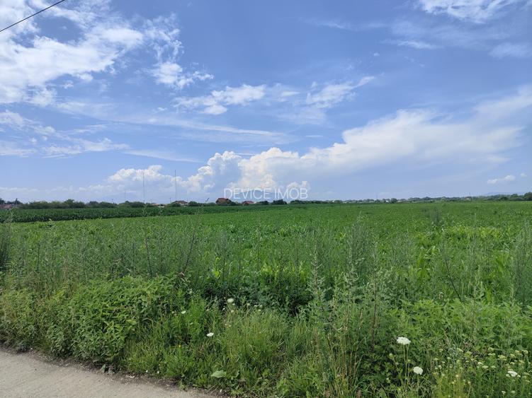 Teren industrial Bod -Drum Betonat -Utilitati - 3