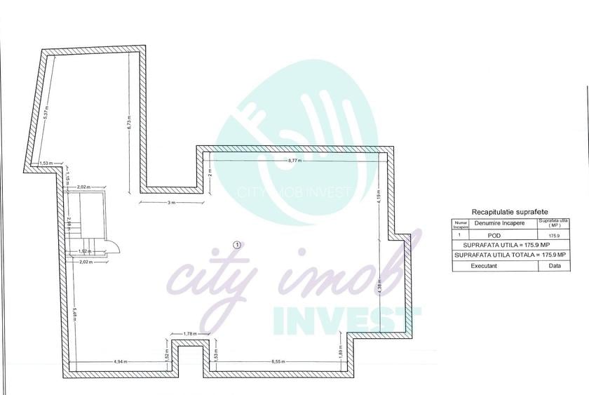 Raritate Parc Carol | Vila neoromânească curte libera 165mp - 13