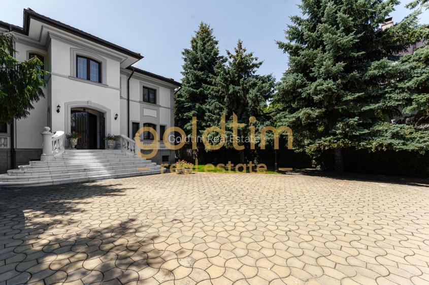 VILA IMPRESIONANTA/LUX/CURTE/GRADINA/PISCINA/GARAJ/IANCU NICOLAE - 4