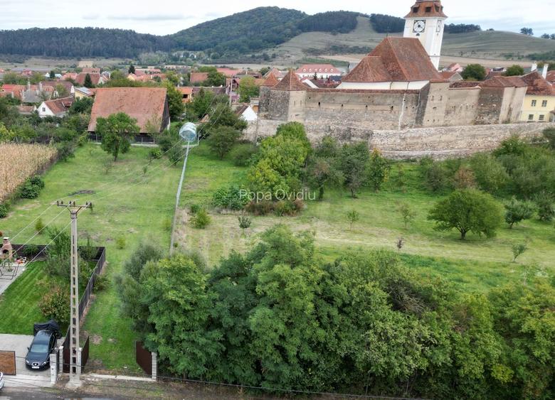 Grădina din Cetate – Un Colț de Istorie și Natură, Doar al Tău - 15