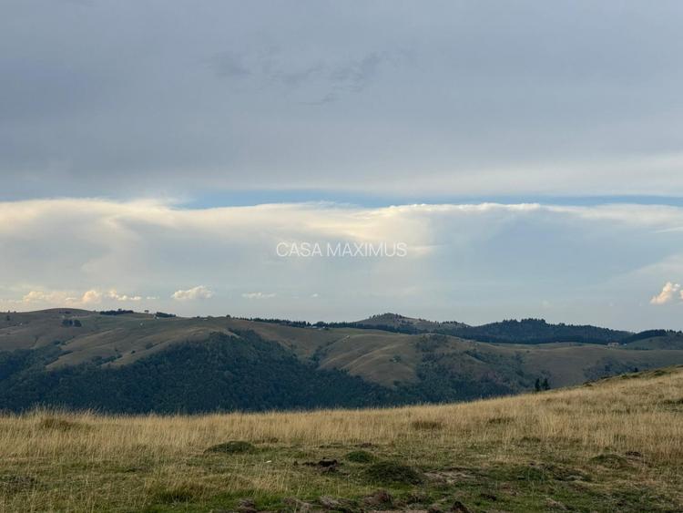 Teren Extravilan de Vânzare în Păltiniș - Oportunitate Excepțională Investiții! - 3