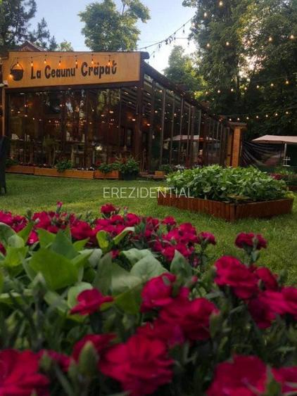 Spatiu  comercial -Parc Herastrau - 9