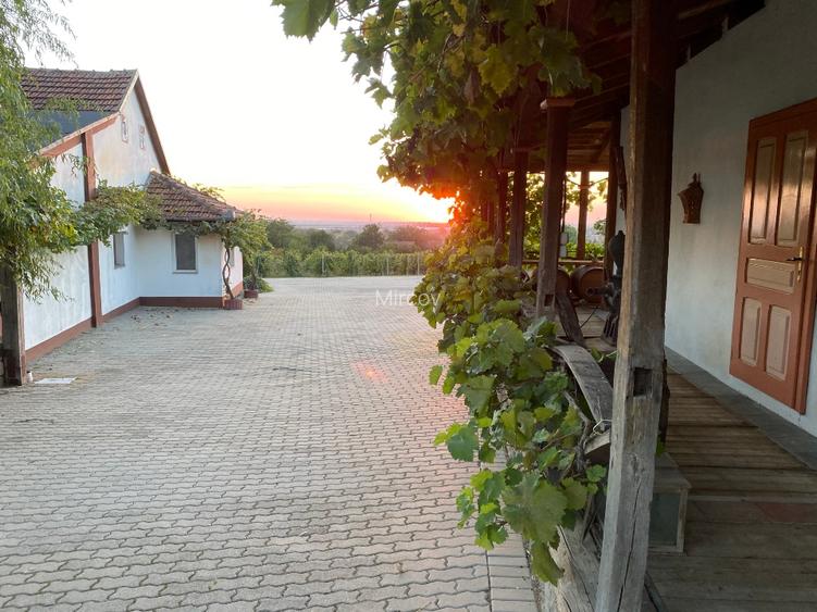 Crama / distilerie  boutique + 20000 sticle vin premium in DOC MINIS  - 7