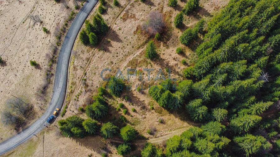 0% COMISION! Teren constructie cabana,  7600 MP, in Dealu Botii, Belis - 2