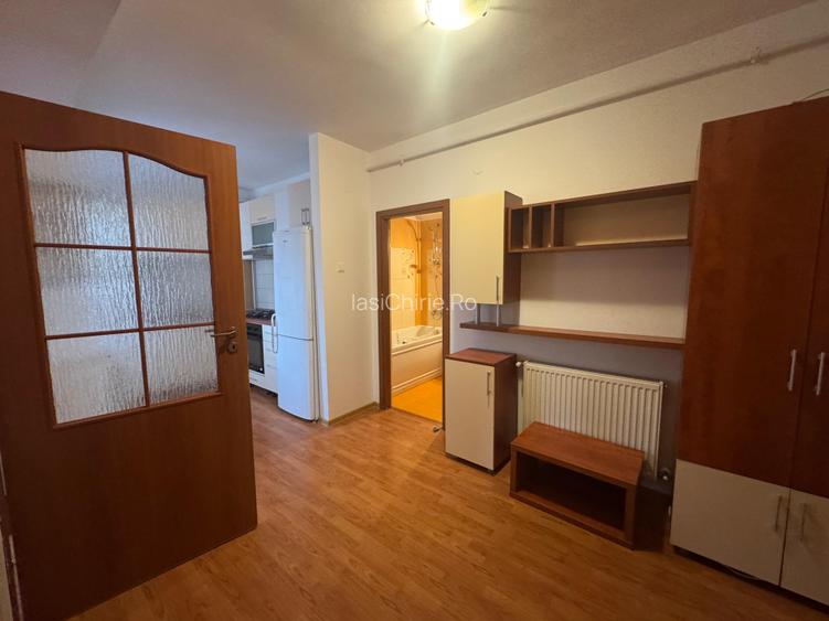 Apartament cu 1 camera Tatarasi - 4