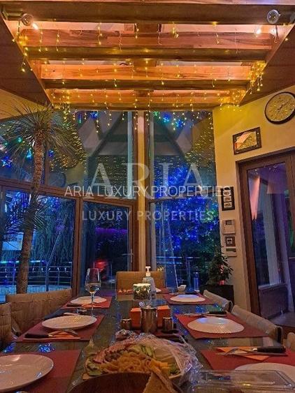 Vila grandioasa, Gradina Japoneza, SPA, Crama, Teren Tenis, Foisor, Iaz Pesti - 9