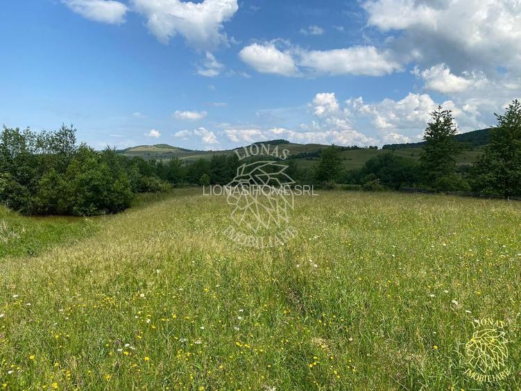 Teren 6500 mp-Lac-vedere panoramica-ideal cabana-Cusma - 4