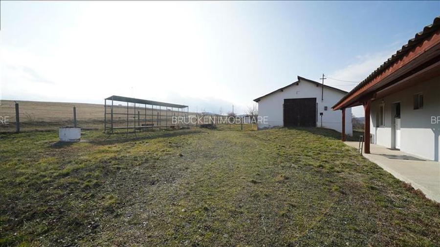 MICRO-FERMA + CASA IN VOIVOZI - BIHOR - 9