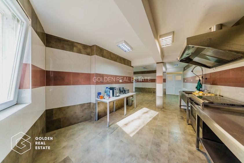 Proprietate pretabila pentru afacere, Cladova - 23