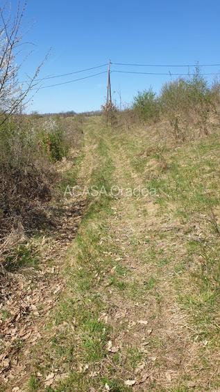 Teren cu panoramă fabuloasă, 10.059 mp, Roșia. 19.000 EUR. Comision 0 - 4