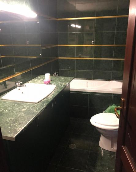 Vila Interbelica in stil Baroc | Unirii / Budapesta | Oportunitate Investitie - 3