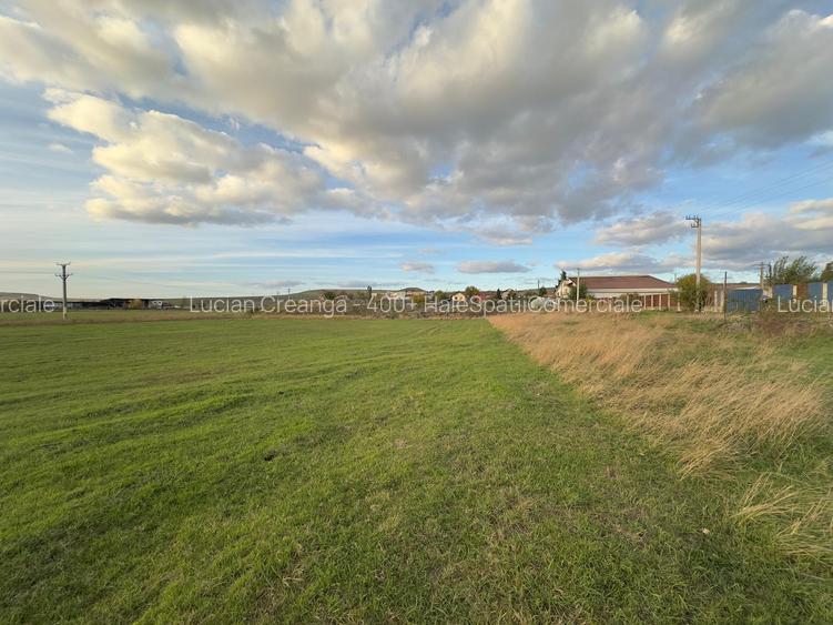 Teren si proiect, 15813mp, fata Skoda - 10