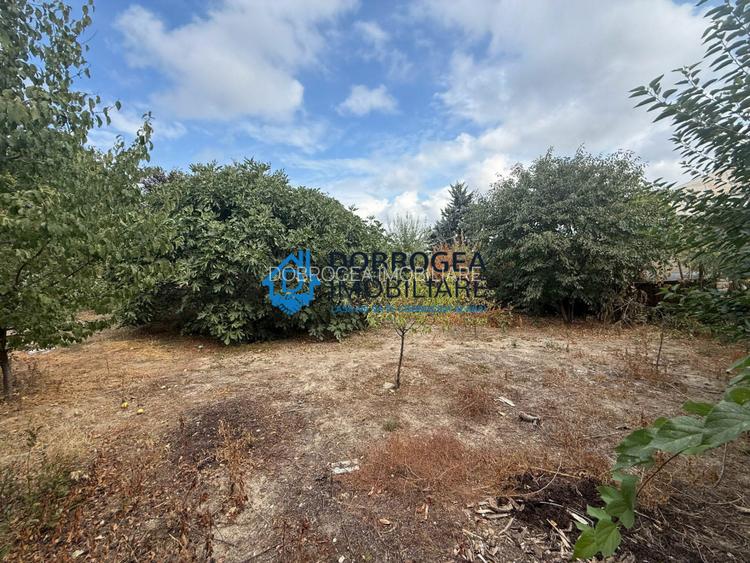 Casa batraneasca 229 mp + teren 675 mp, deschidere stradala 15,8 ml - 3