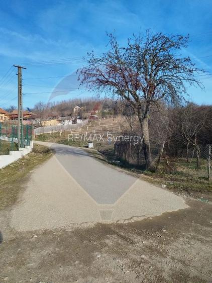 Teren intravilan 1.736 mp Chițești- Bogați (AG), deschidere la asfalt - 2