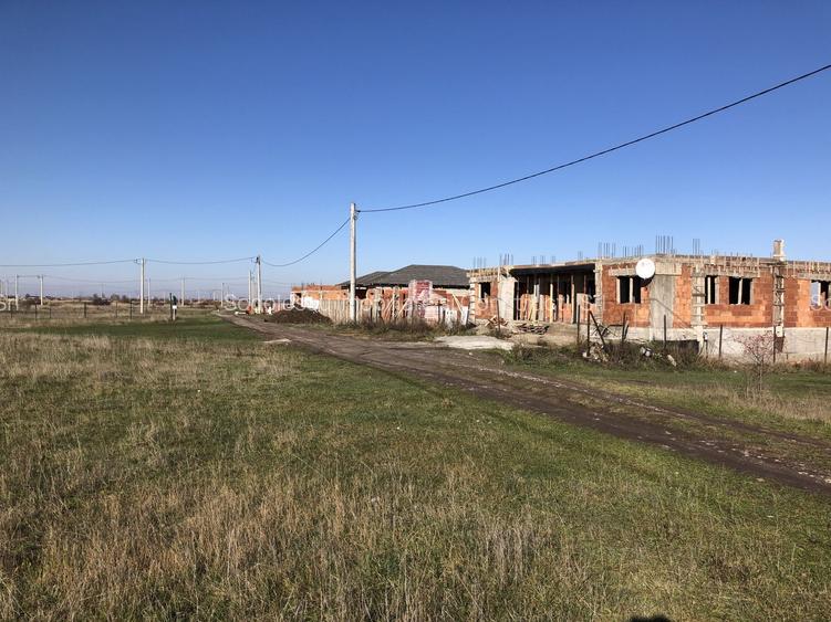 Teren Mosnita Noua - Albina - 2