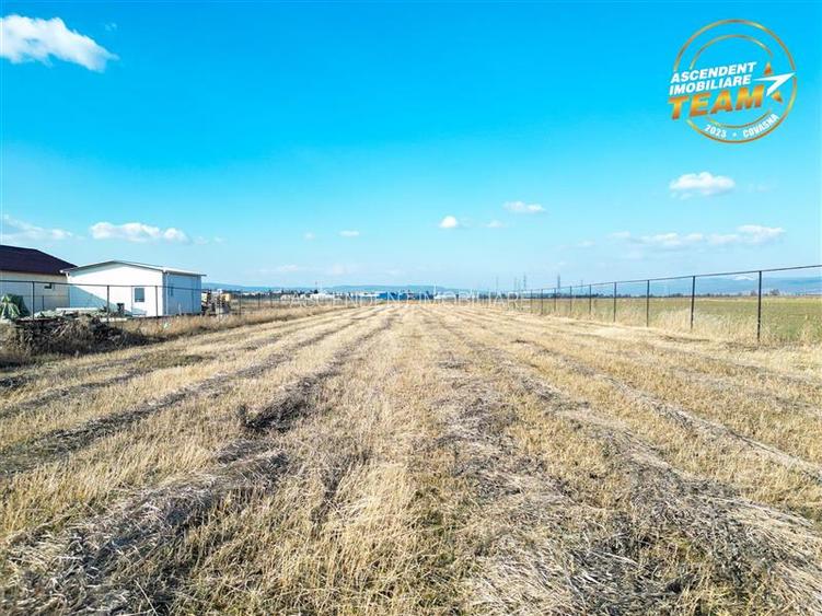 Liniste si aer curat in proximitatea Municipiului Sfantu Gheorghe - 13