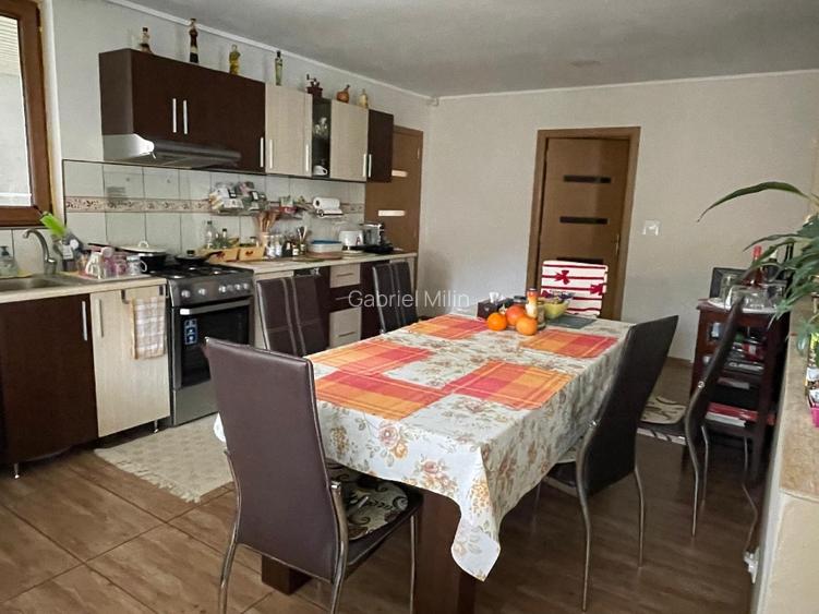 Casa de vanzare in localitatea Pustinis - 4