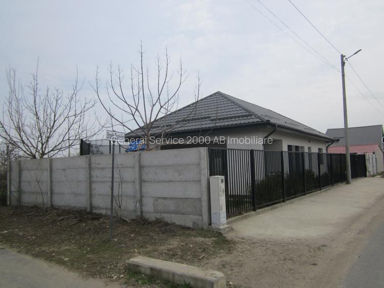 Teghes-Caminului - 11