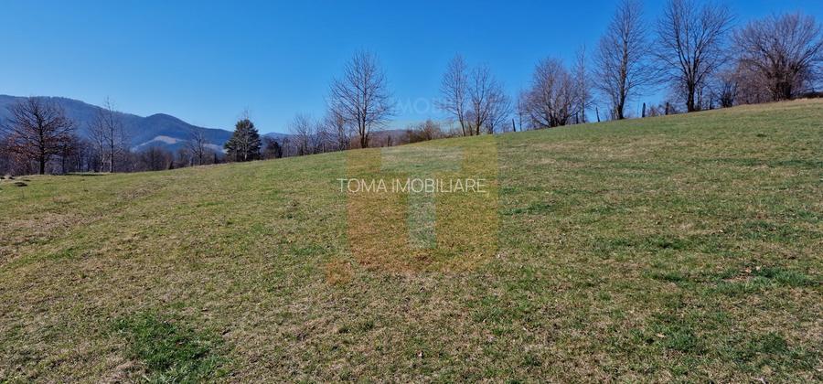 Teren intravilan de 4.000 mp în Bistrița – Alexandru cel Bun - 17