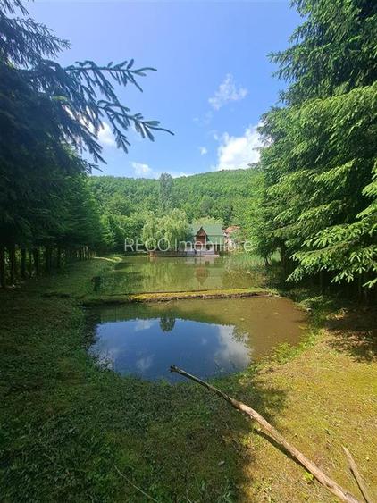 Cabana pe apa in Padurea Neagra - 10