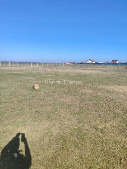 Teren Intravilan comuna Osorhei Bihor. - 3