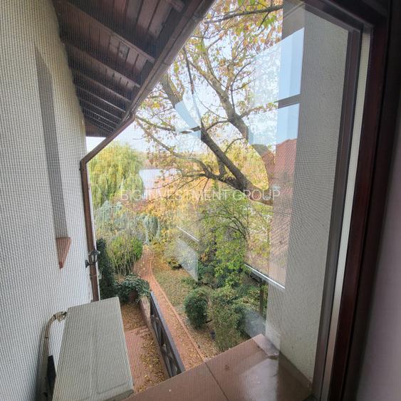 Vila lac snagov in cea mai buna portiune a lacului, ponton, garaj barca, piscina - 4