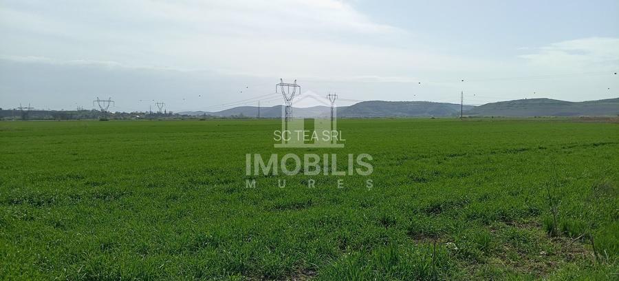 ‼️OPORTUNITATE DE INVESTIȚIE‼️ Teren Zona Ungheni | 44376 mp - 5