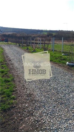 Teren cu apa si curent 700 mp in Sura Mare - 2