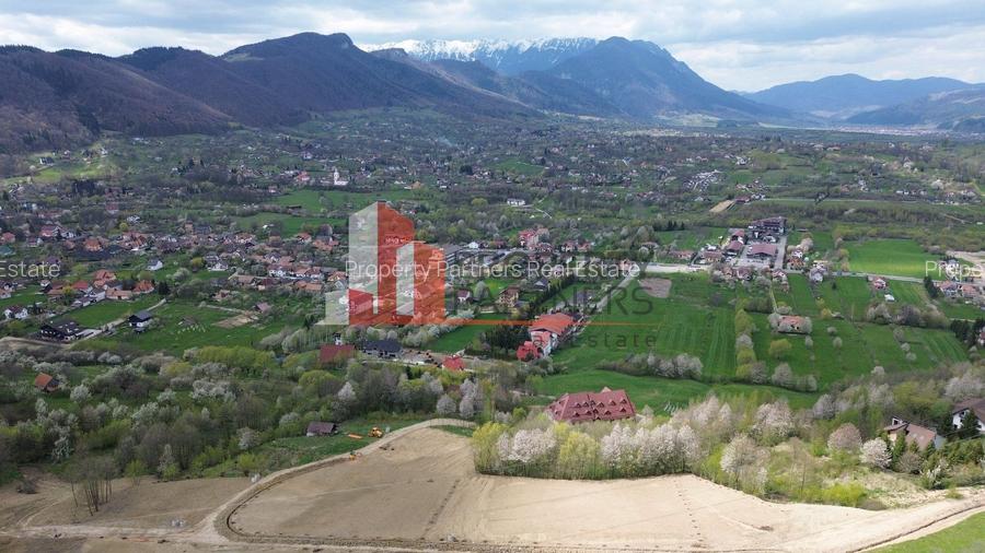 Parcele 1000 mp Sohodol - 6