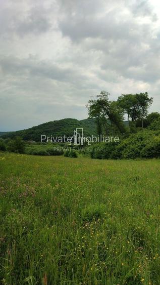 Teren de vanzare, 20.000Mp , Comuna Danes, drumul Crisului - 14