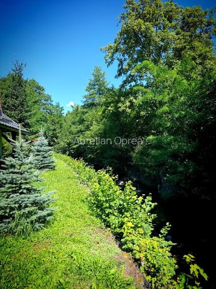 Casă de vacanță tip Chalet pe Valea Muresului  - 8