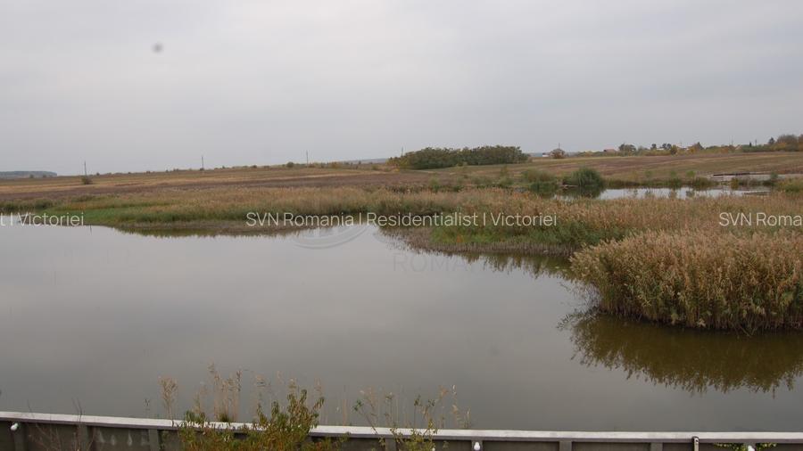 REV0002800 Vila de vanzare cu vedere la lac Laguna Albastra Corbeanca - 27