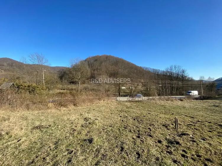 TEREN DE VANZARE -SULTANU,VISINESTI - 2