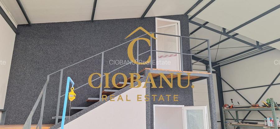 Hala de vanzare in Racari de Jos - 5