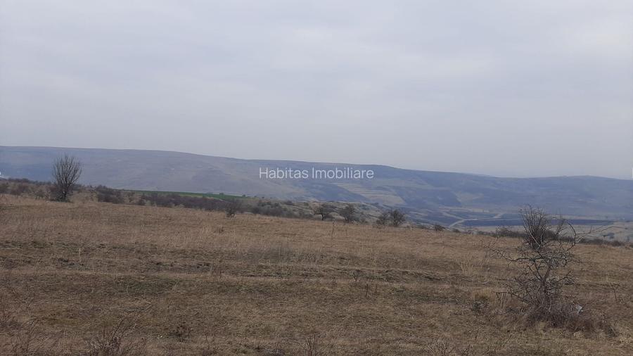 Teren agricol pentru investitii, zona Valea Calda -Iris - 8