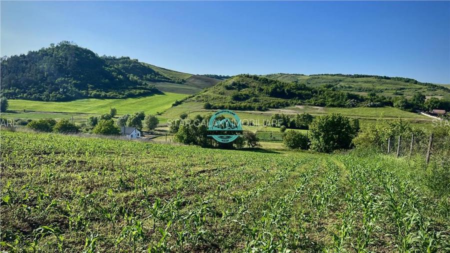 Vand teren intravilan in Sanisor cu suprafata de 4946 mp - 6