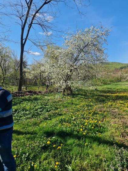 Teren si constructie comuna Magureni - 6