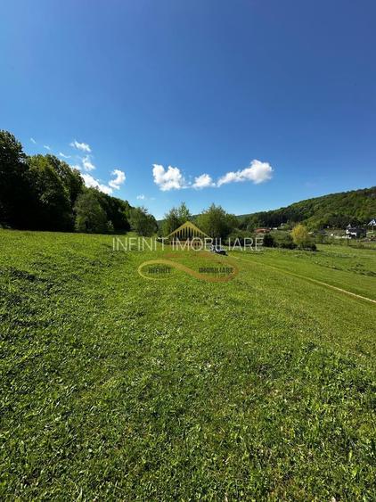 Teren intravilan de vanzare 1439 mp Luncani strada Slatinei - Bacau - 6