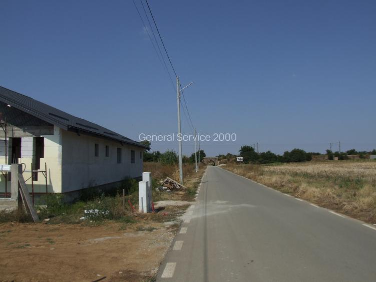 Domnesti-Salciei-stradal 6784 mp - 12