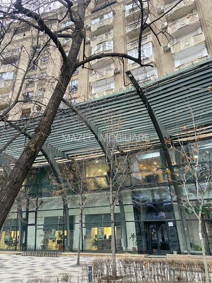 Apartament PET FRIENDLY Rond Alba Iulia - 15